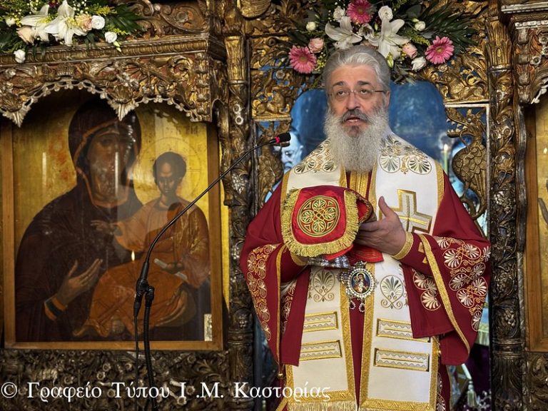 54917547603_43e173123d_c